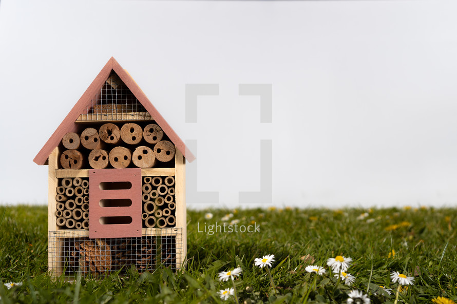 beehouse in grass