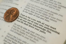 penny - "Trust in the Lord with all your heart, And lean not on your own understanding; in all your ways acknowledge Him, And He shall direct your paths."