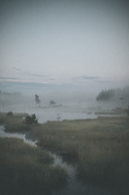 fog over a lake and swamp 