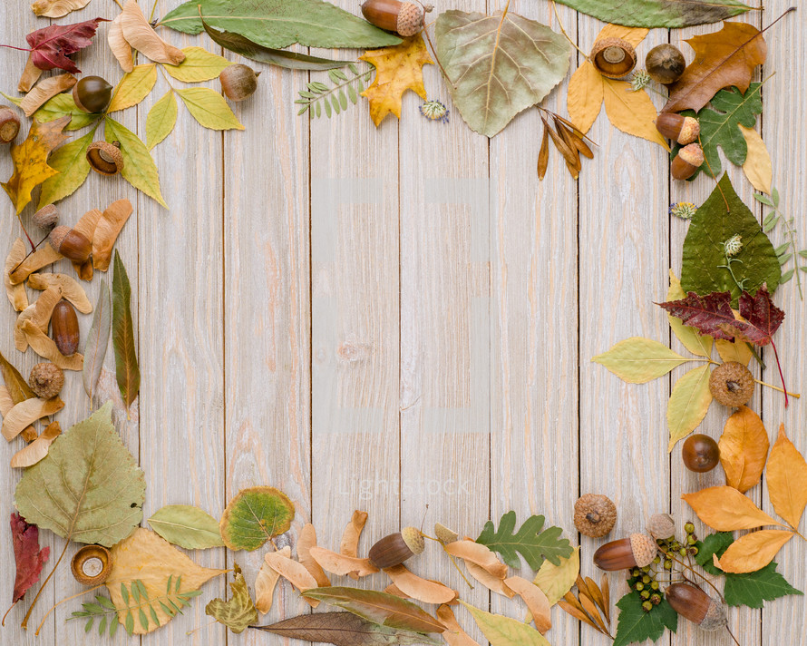 fall leaves frame on wood 