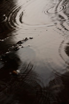 rain drops on water