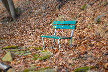 bench in a winter forest 