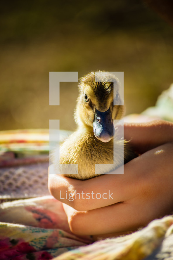 a woman holding a ducking 
