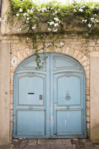vines hanging over a blue arched door 