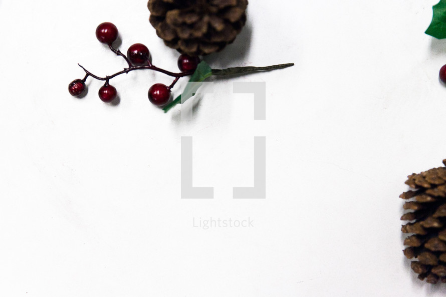 red berries and pine cones on white 