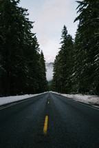 highway through a winter pine forest 