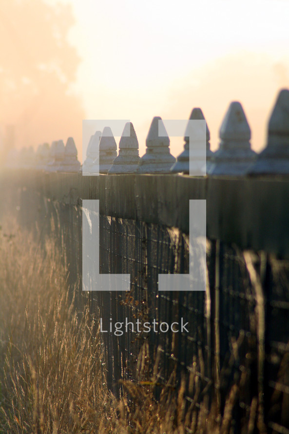 Grass against wrought iron and stone fence at sunsrise.