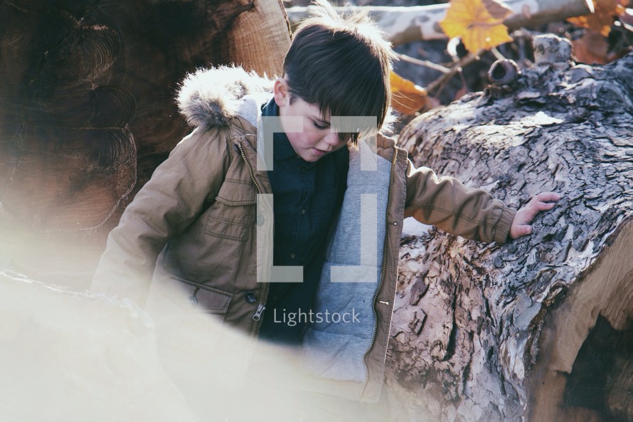 Boy resting on a fallen tree in the woods.