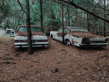 pine straw and rusted out abandoned cars 