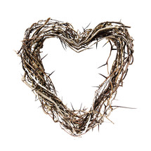 heart shaped thorns 