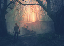 A man in a forest approaches a narrow path to a beautiful opening