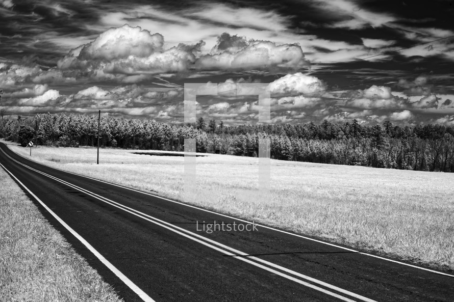 rural road in black and white 