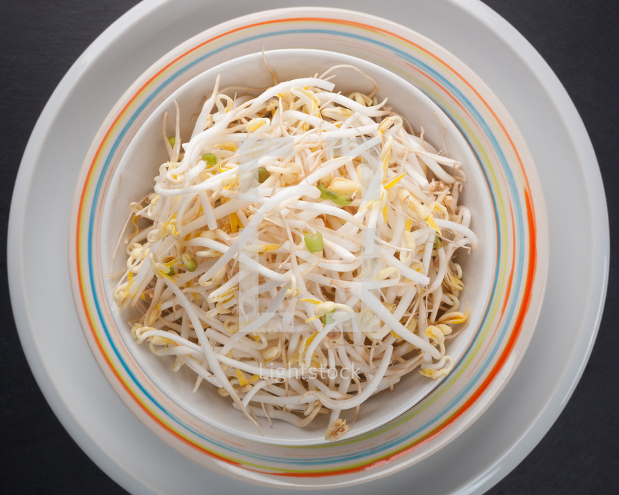 Plate of bean sprouts of black slate tray