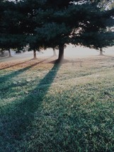 rays of sunlight on morning dew on grass 