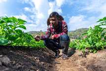 Rows of young potato plants with a man standing in the background in a rural kitchen garden