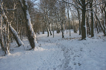 snowy scene 