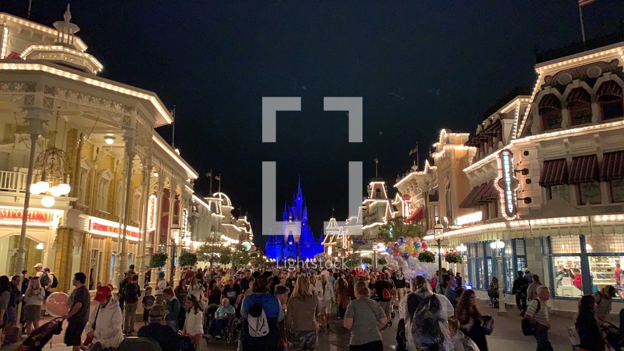 Disney World at night 