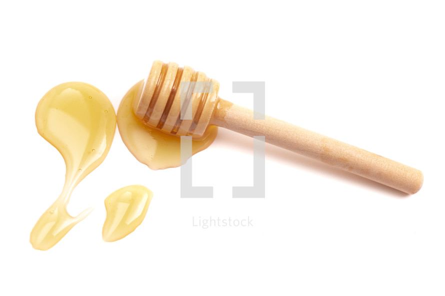 honey and honey comb on a white background 