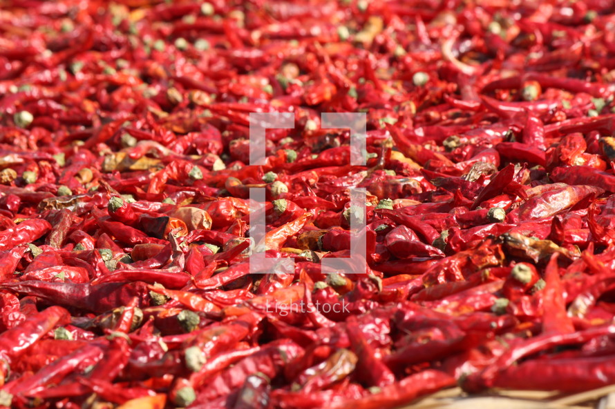 Red peppers drying in the sun.