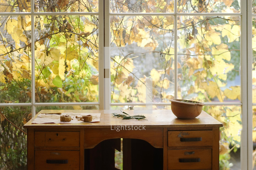 collection of nature items on a desk in front of a window 