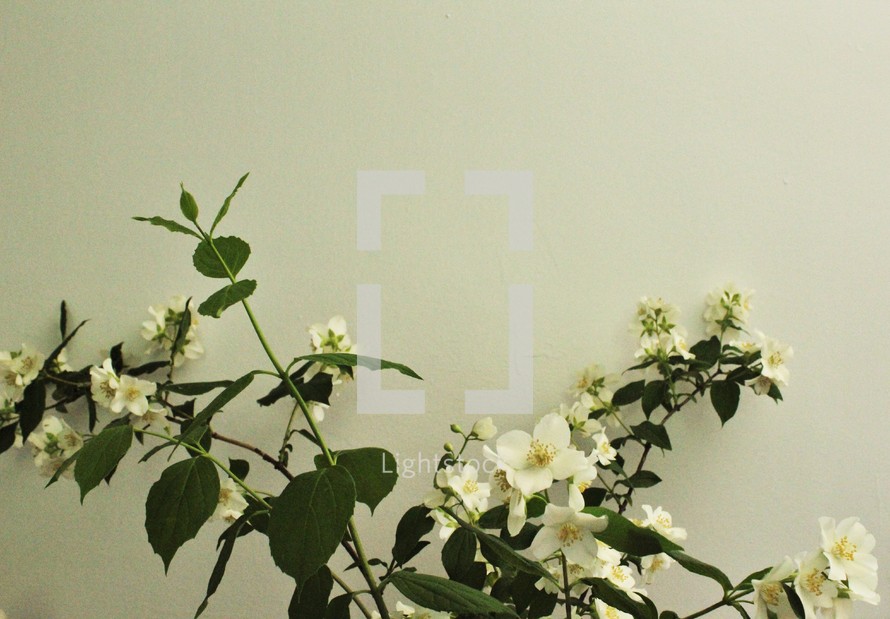 white flower arrangement 