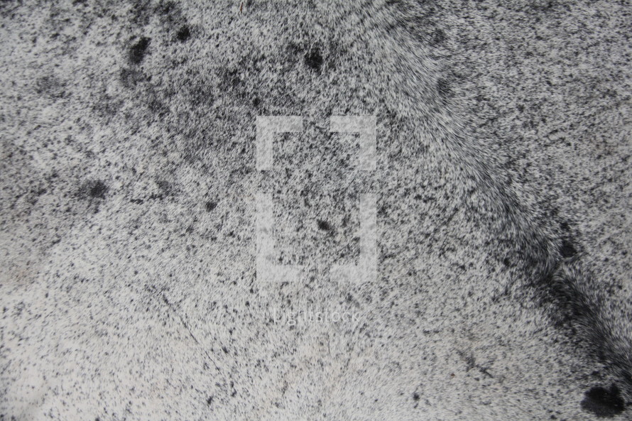 black and white splatter background 