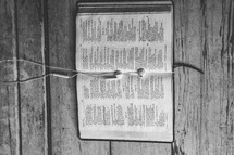 Ear buds on pages of Bible open to Psalm 119 laying on wooden floor.