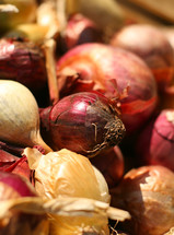 red and yellow bulb onions, food