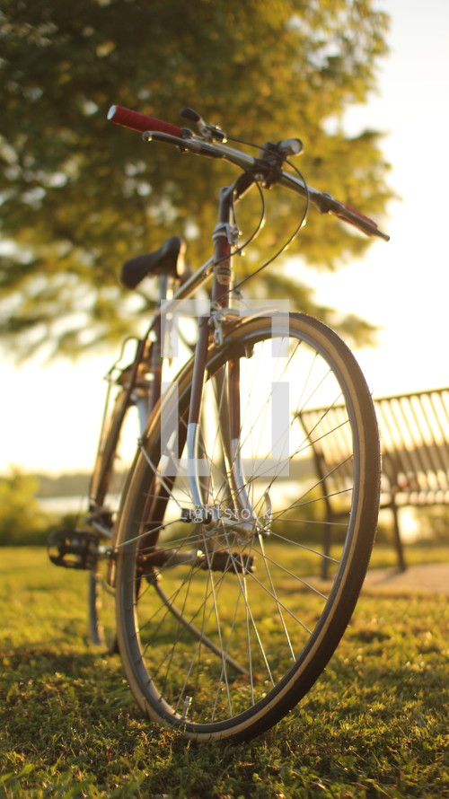 bicycle at a park 