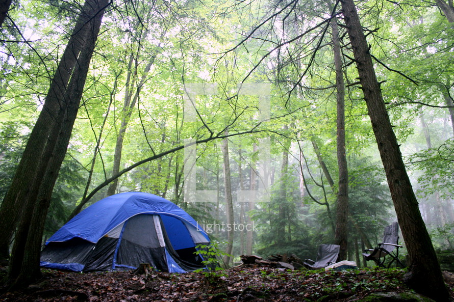 tent in the forest 