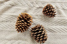 pine cones on a blanket 