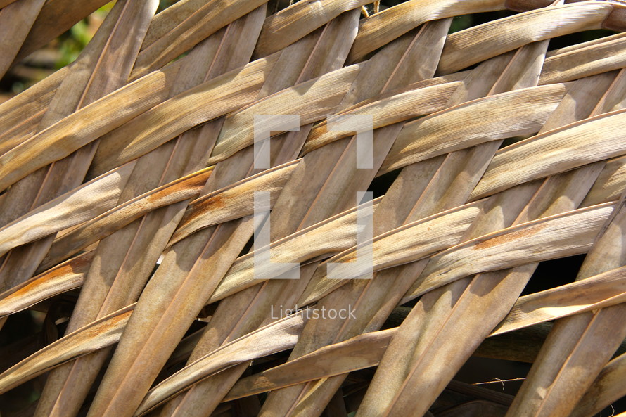 thatched roof 