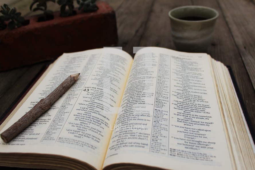 wood stick pencil on the pages of a Bible 