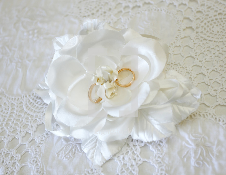 white rose with wedding bands 