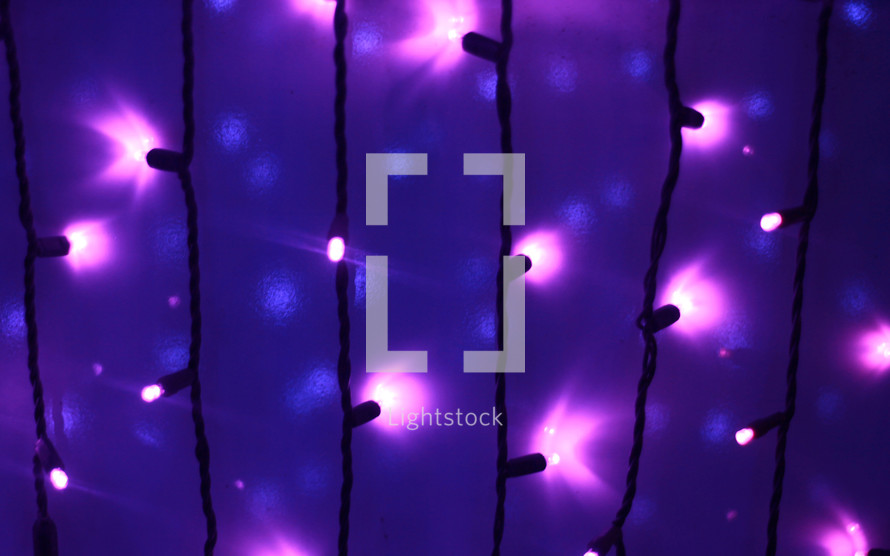 purple glowing LED bulbs 