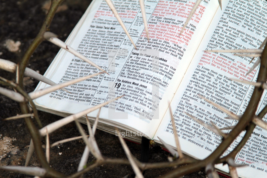 Crown of thorns in front of a Bible. John 19