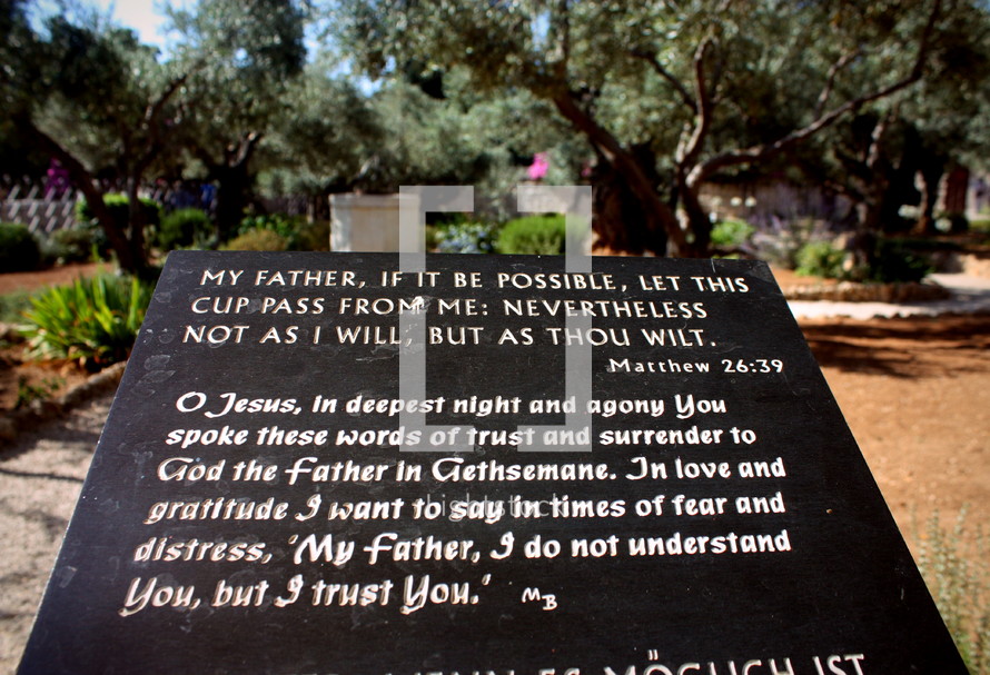 Matthew 26:39 on a plaque in the Garden of Gethsemene