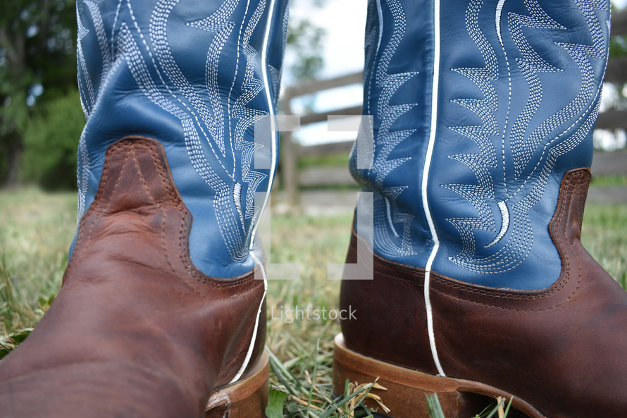 cowboy boots 