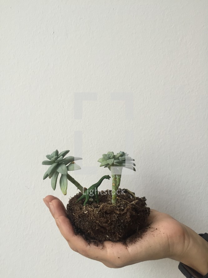 hand holding dirt, plants, and plastic dinosaur 
