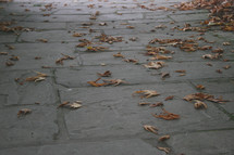 fall leaves on stone pavers 