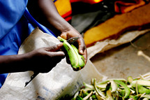 African woman peeling  fruit plantain knife cooking