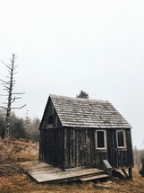 shack in the woods 