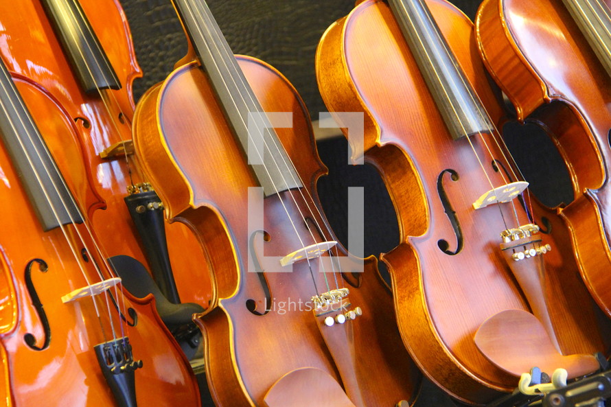 Row of violins 