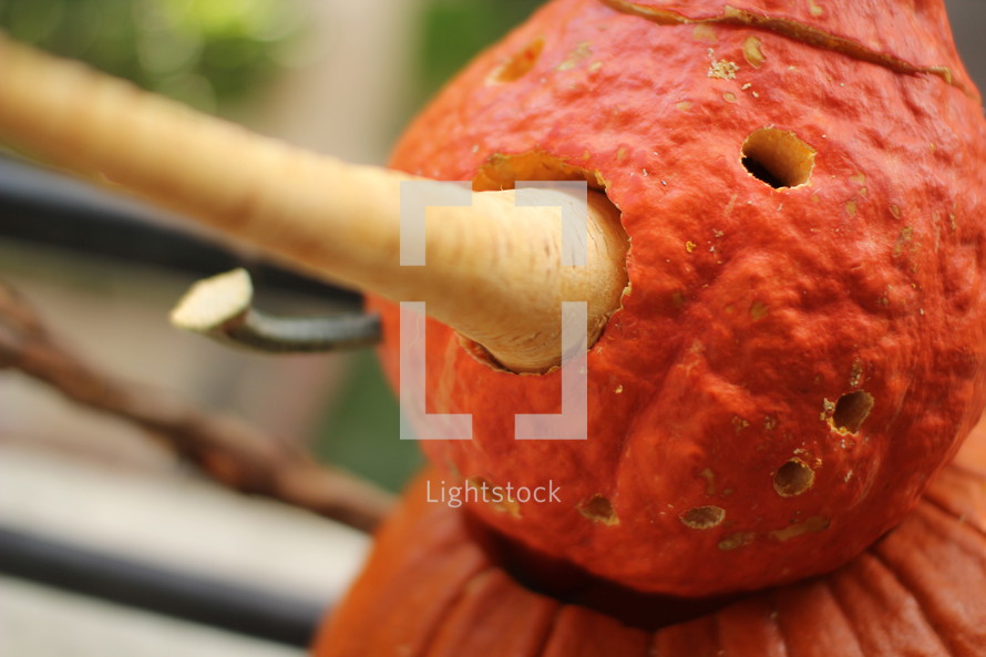 halloween pumpkin scarecrow