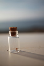 Mustard seed inside a little crystal bottle with a blurry sea on the background.