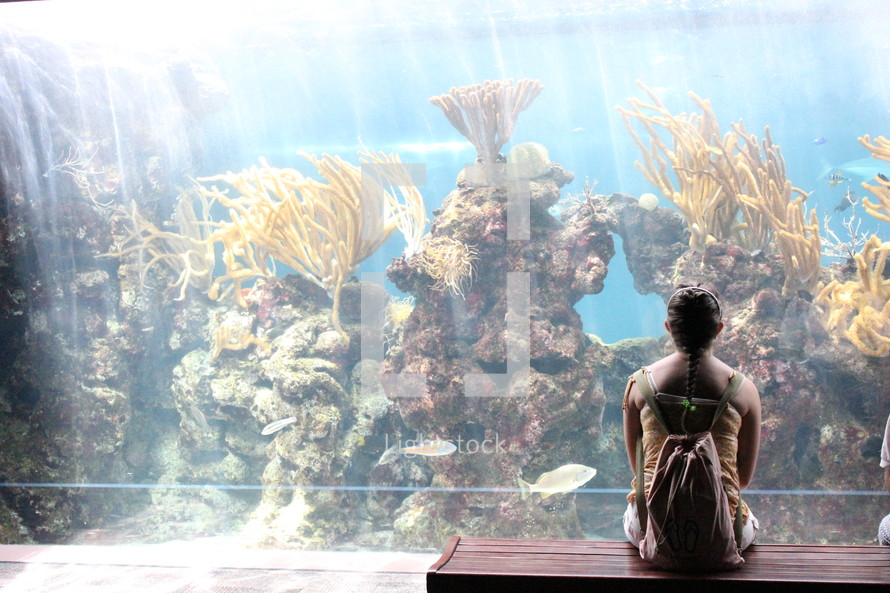 woman looking a fish at the aquarium 