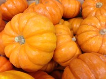 small pumpkins 