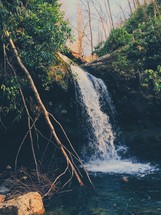waterfall in a forest