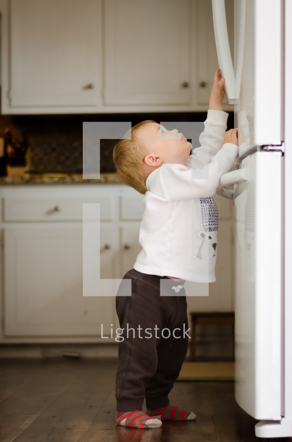 a toddler boy reaching up to try and open a refrigerator