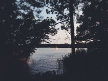 trees on a lake shore 